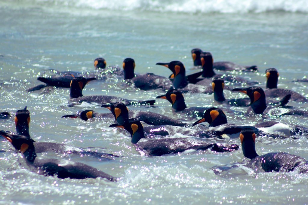 I’m a little late to the party! Happy New Year everyone. 🥂

I’ve been trying to make the most of the time left with my daughter before she returns to college (I won’t see her till July 😭)

Here is hoping 2025 is a smashing year!