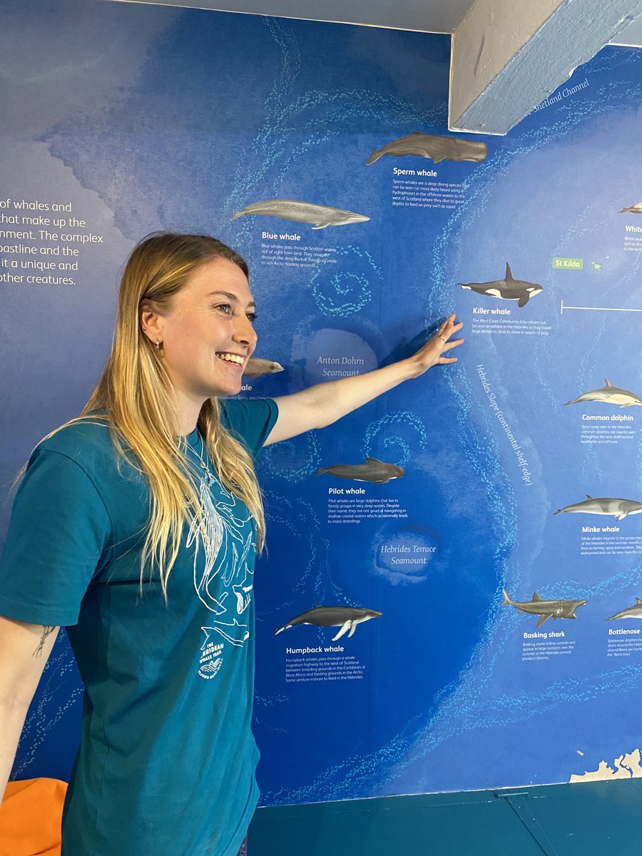 Hebridean Whale & Dolphin Trust tweet media