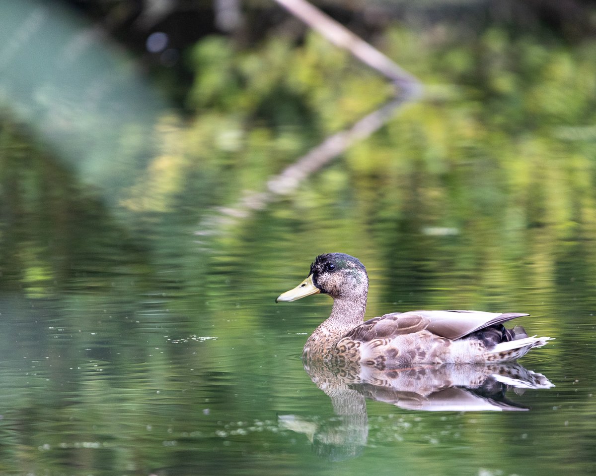Which image looks best on your screen?