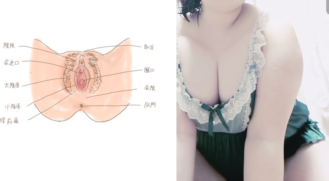 おしがま学講座2

今回は女性外性器(外陰)についての解説です。にゃん先生がおしがましながら実際に資料になって見せちゃいます。よーく見て勉強してくださいね♡

#おしがま学
#にゃん先生