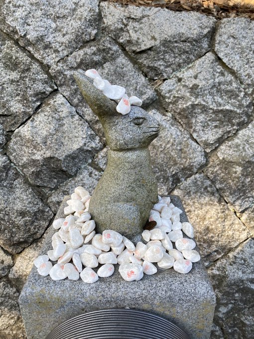 Twitterのコスプレ画像13