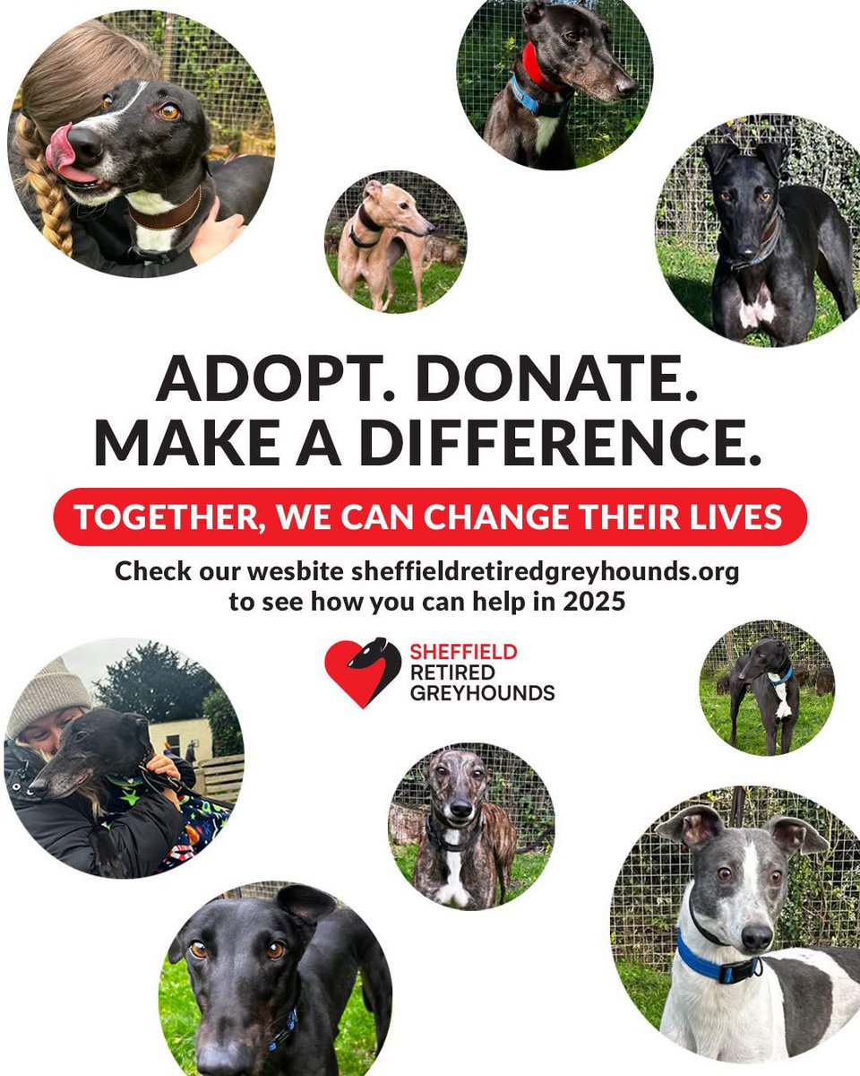 Sheffield Retired Greyhounds tweet media