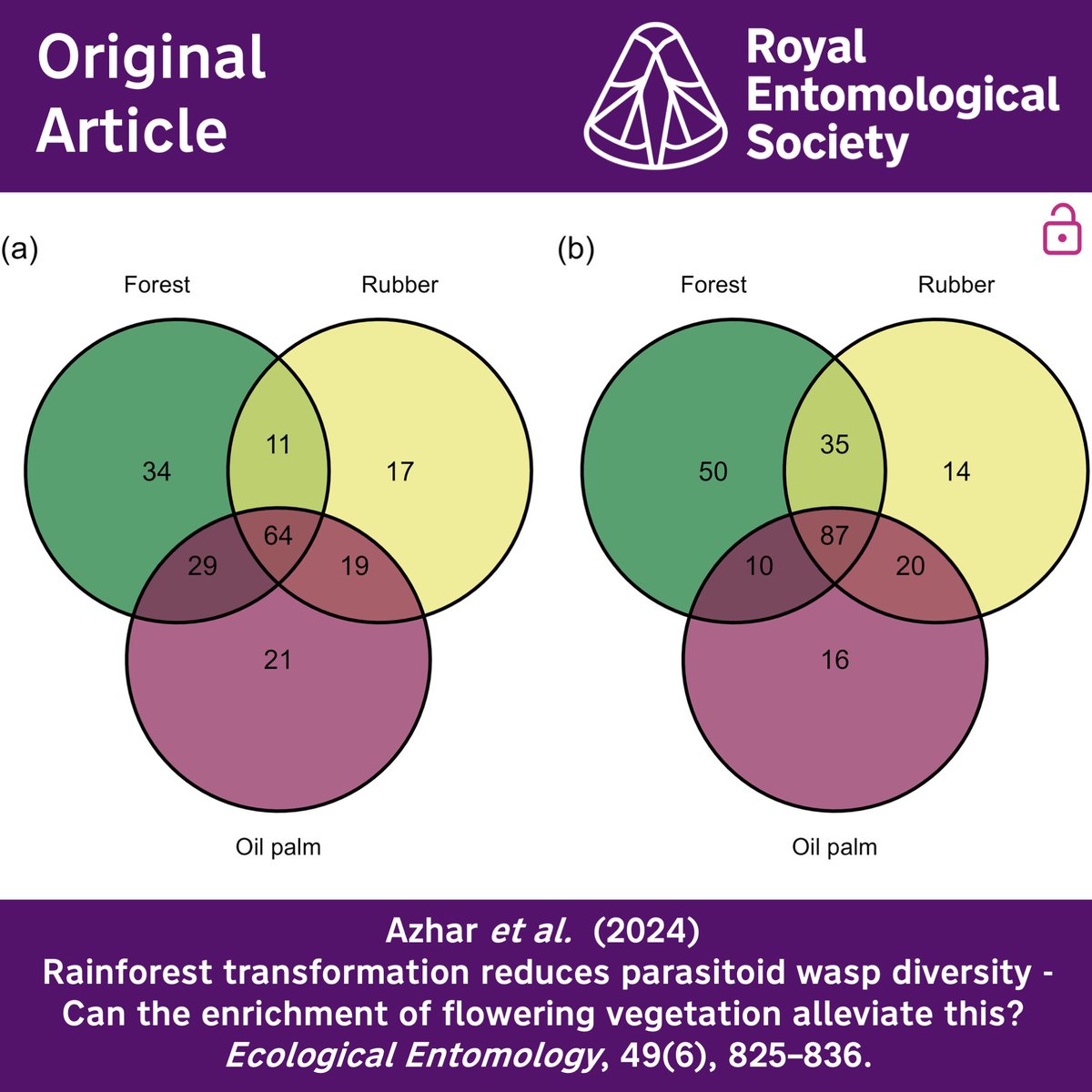 Ecological Entomology (@ecol_ent) on Twitter photo Can adding flowering vegetation to monoculture plantations mitigate diversity loss?🌴
Azhar et al. investigate in their #OpenAccess article, available now in the current issue of #EcologicalEntomology
resjournals.onlinelibrary.wiley.com/doi/10.1111/ee…
<a href="/WileyEcolEvol/">Wiley Ecology & Evolution</a> <a href="/RoyEntSoc/">Royal Entomological Society</a> Can adding flowering vegetation to monoculture plantations mitigate diversity loss?🌴
Azhar et al. investigate in their #OpenAccess article, available now in the current issue of #EcologicalEntomology
resjournals.onlinelibrary.wiley.com/doi/10.1111/ee…
<a href="/WileyEcolEvol/">Wiley Ecology & Evolution</a> <a href="/RoyEntSoc/">Royal Entomological Society</a>