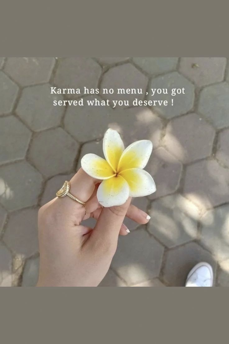 Mango Shake tweet media