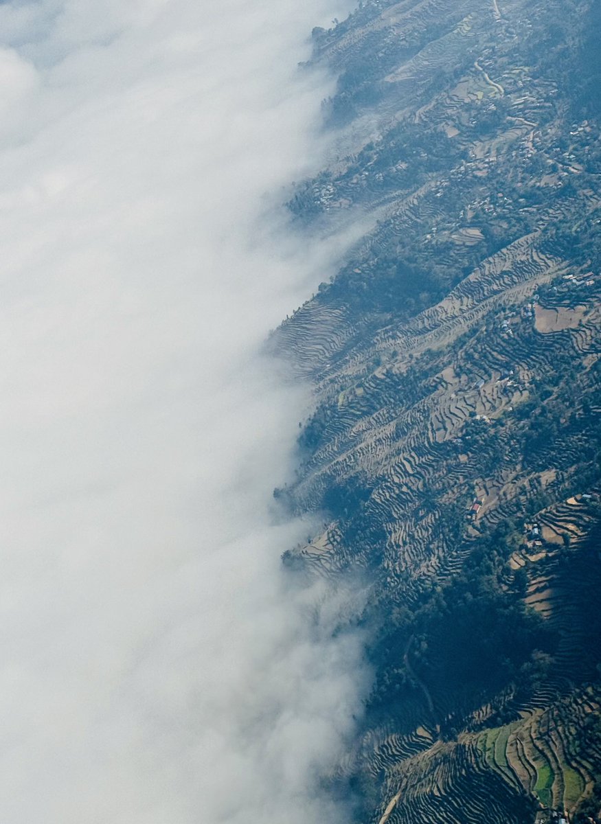 Michael Bronstein tweet media