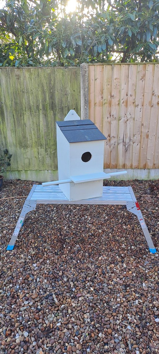 JohnFLloyd1's tweet photo. Christmas project ready for new occupants.
#owlbox
😃 https://t.co/Xpz8fsvXap