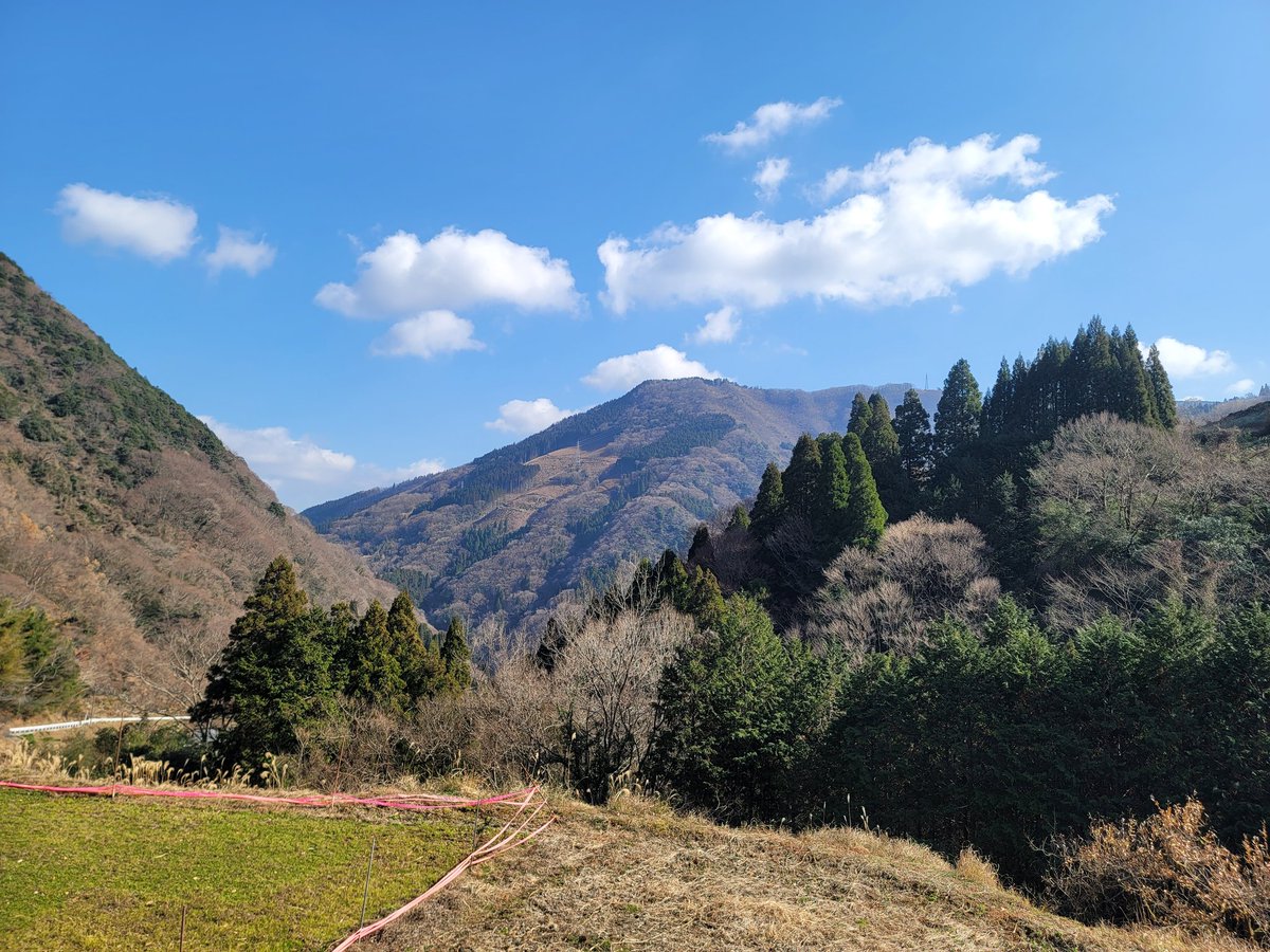 Adiantum_Botan's tweet photo. のどかな山間で人っ子１人見かけず、「人がいた！」と道を尋ねようと思っても、この方は「リアルかかし」なので間違わないでね♪ちなみに私は3年前に道を尋ねようと声をかけました(笑) https://t.co/g0dxNmaAWn