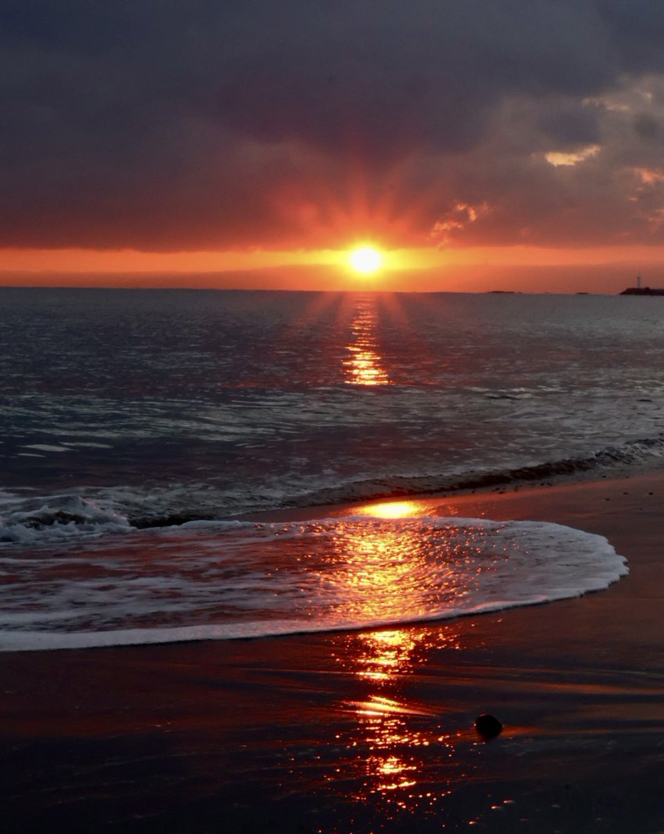 Gaijin Mommy tweet media