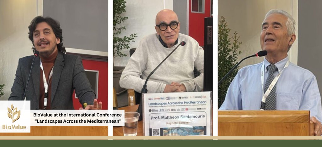 From December 11-13, 2024, our project proudly participated in this event held in Reggio Calabria, Italy.
Our coordinator, Professor Konstadinos Mattas, was honored to deliver a keynote speech on the importance of sustainable agricultural practices for Mediterranean ecosystems.