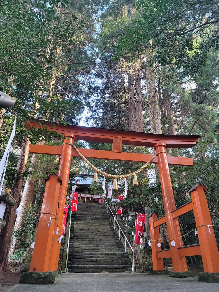 Adiantum_Botan's tweet photo. 最後は宮崎県五ケ瀬町にある祇園神社へ⭐こちらもまた澄んだ空気が心地よいスピリチュアルな神社です♪

#神社 #神社巡り #五ケ瀬町 #祇園神社 https://t.co/mu5yYqXAK8