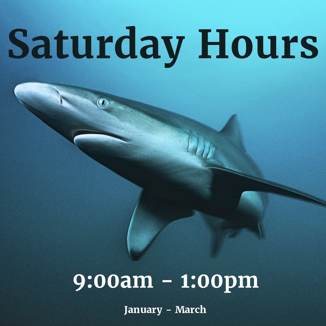 Ready to book your next dive adventure?

From Saturday 4th January, we're here to help - contact our expert team every Saturday from 9am-1pm, throughout January, February and March!

Call us on 01353 659999 or drop us an enquiry online🖱️