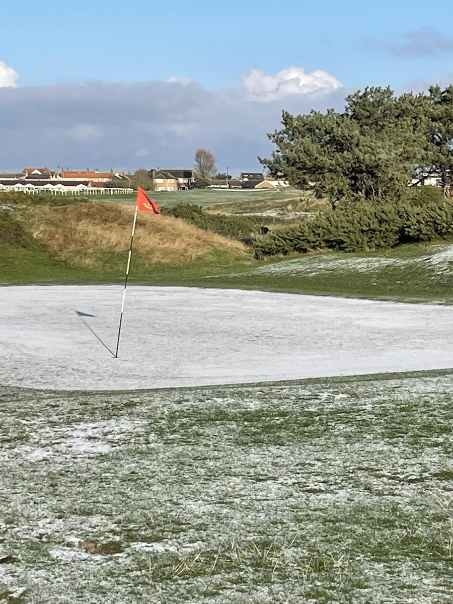 GY & Caister Golf Club ⛳️ tweet media