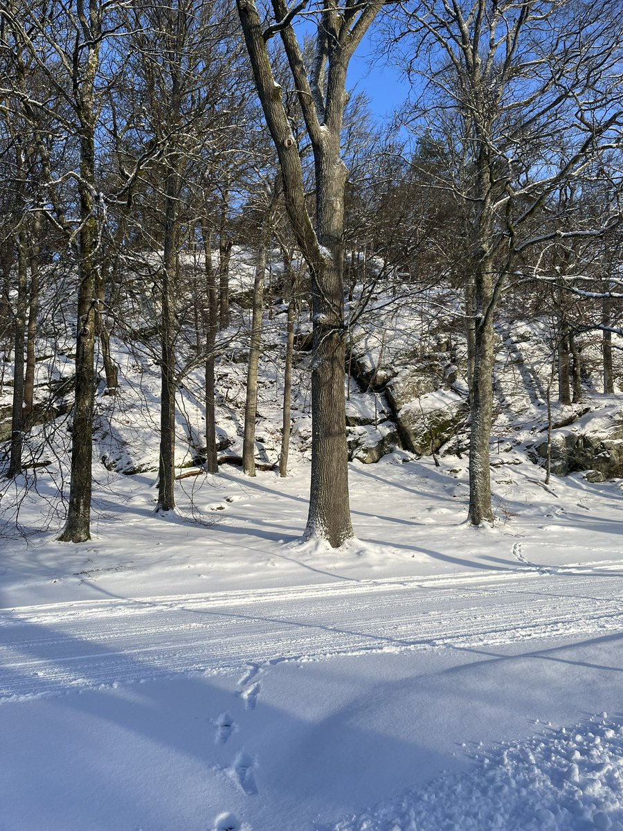 Daniel Dib tweet media