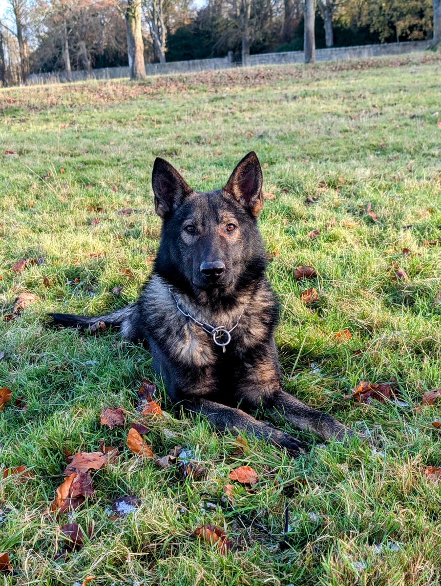 Durham Constabulary tweet media