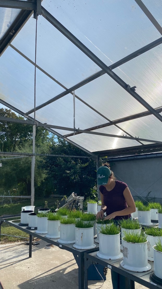 Ankara Kalkınma Ajansı EYE Programı Başarı Hikayeleri Serisi'nin bu bölümünde Defnesu Tap'ı ağırlıyoruz!

Uçucu yağlar ve aromaterapi fikriyle yola çıkan Defnesu Tap, EYE Programı sayesinde Almanya’da Institut für Agrar- und Stadtökologische Projekte (IASP)’ta değerli deneyimler