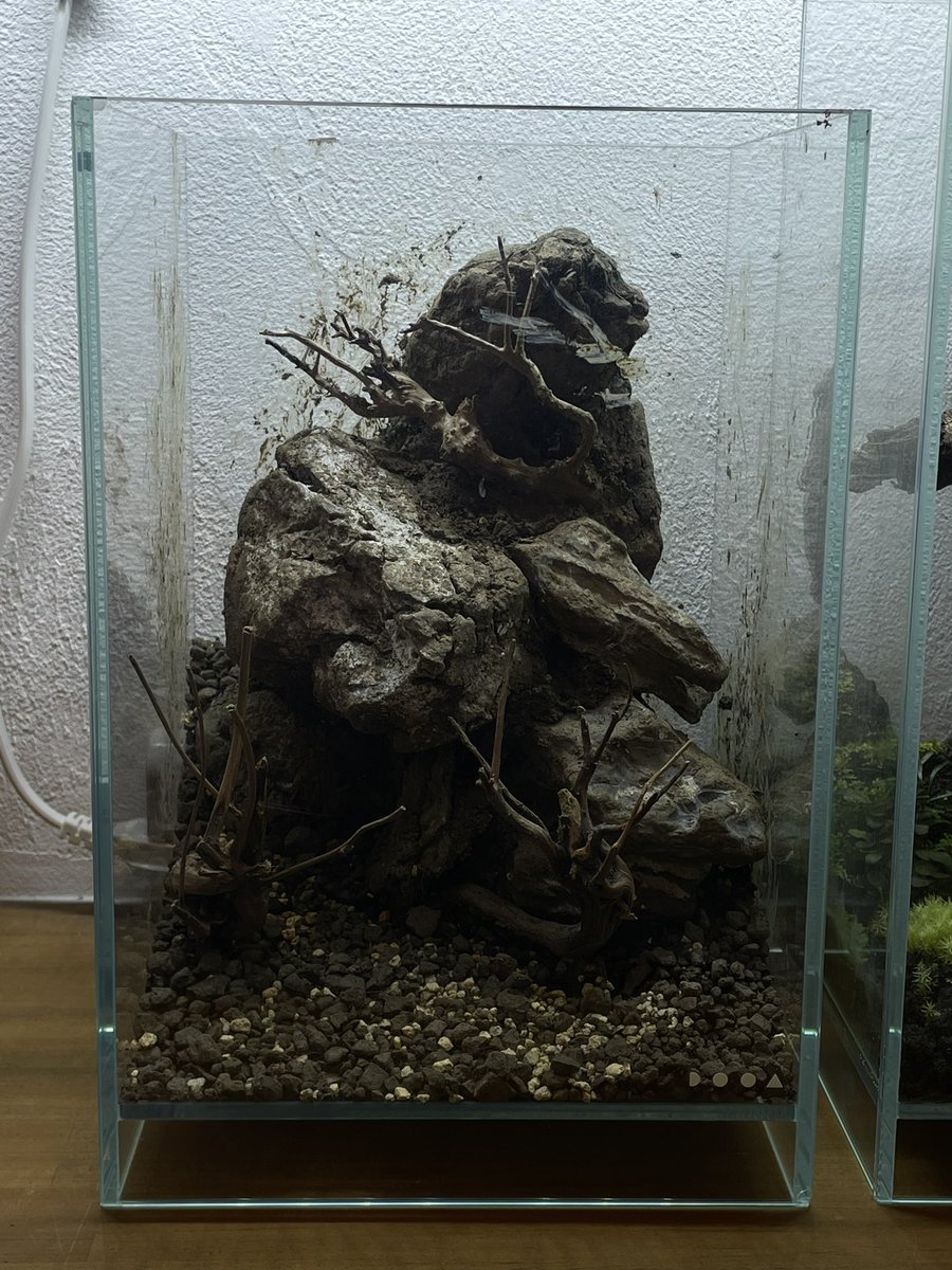植物が育ちそうにない不毛の地みたいなレイアウトになってしまった…

#パルダリウム
#パルダリウム愛好会