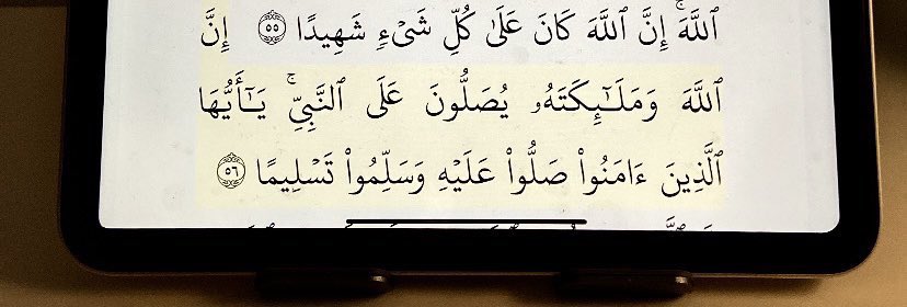 اللهُم صلِّ وسّلم على نبينا مُحمد
 عدد ماذكره الذاكرون؛وغفل عَن 
 ذكره الغافِلون 🌱🤍
