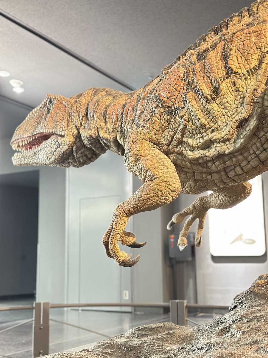 こんばんは🌙✨ 本日もたくさんの方々にご来館いただき、ありがとうご