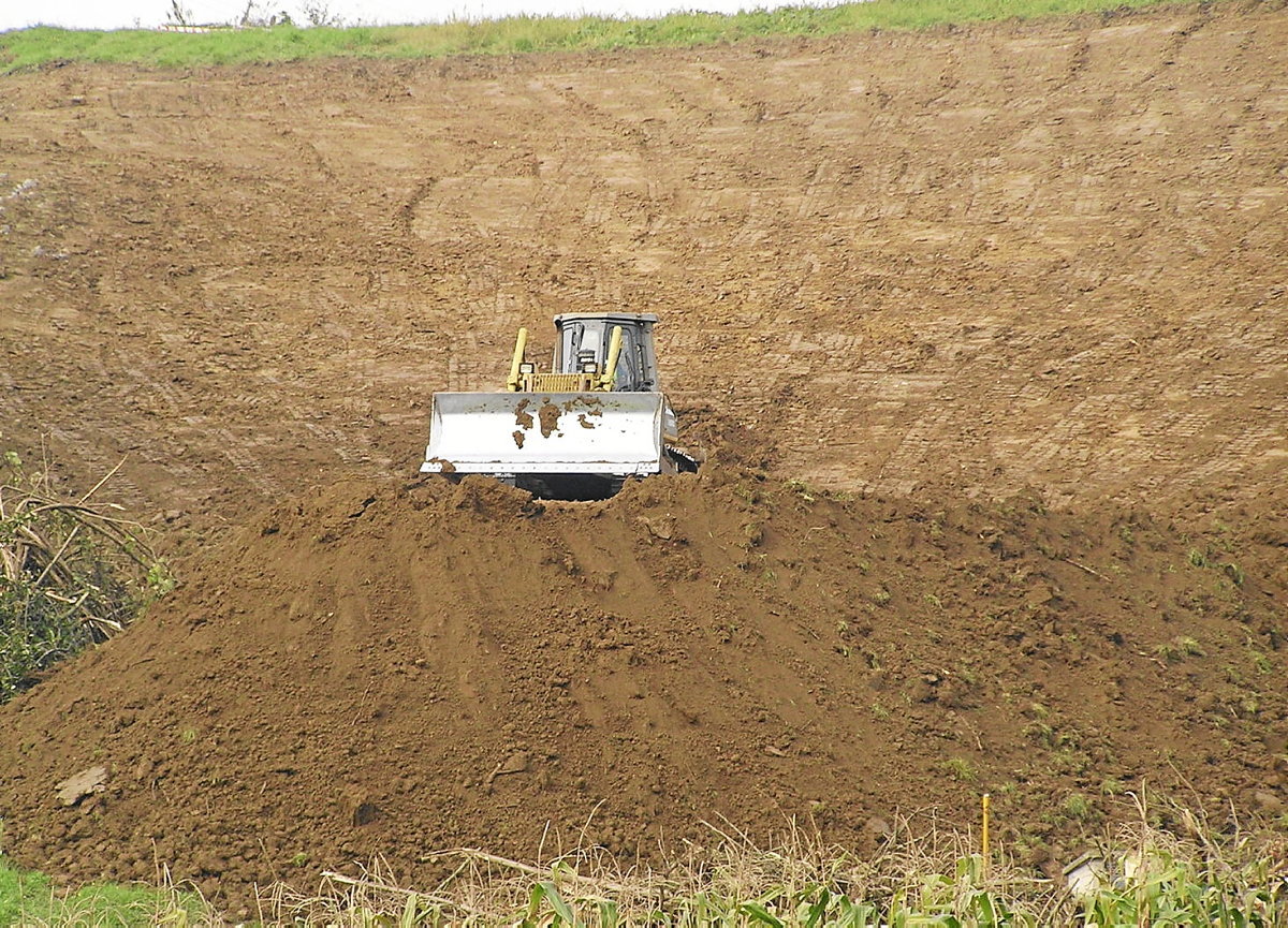 [BIOANIZTASUNA <a href="/sanz_azkue/">Iñaki Sanz-Azkue</a> ] Biodibertsitate galeraren aurrean, natura erdigunean 
naiz.eus/eu/hemeroteca/…