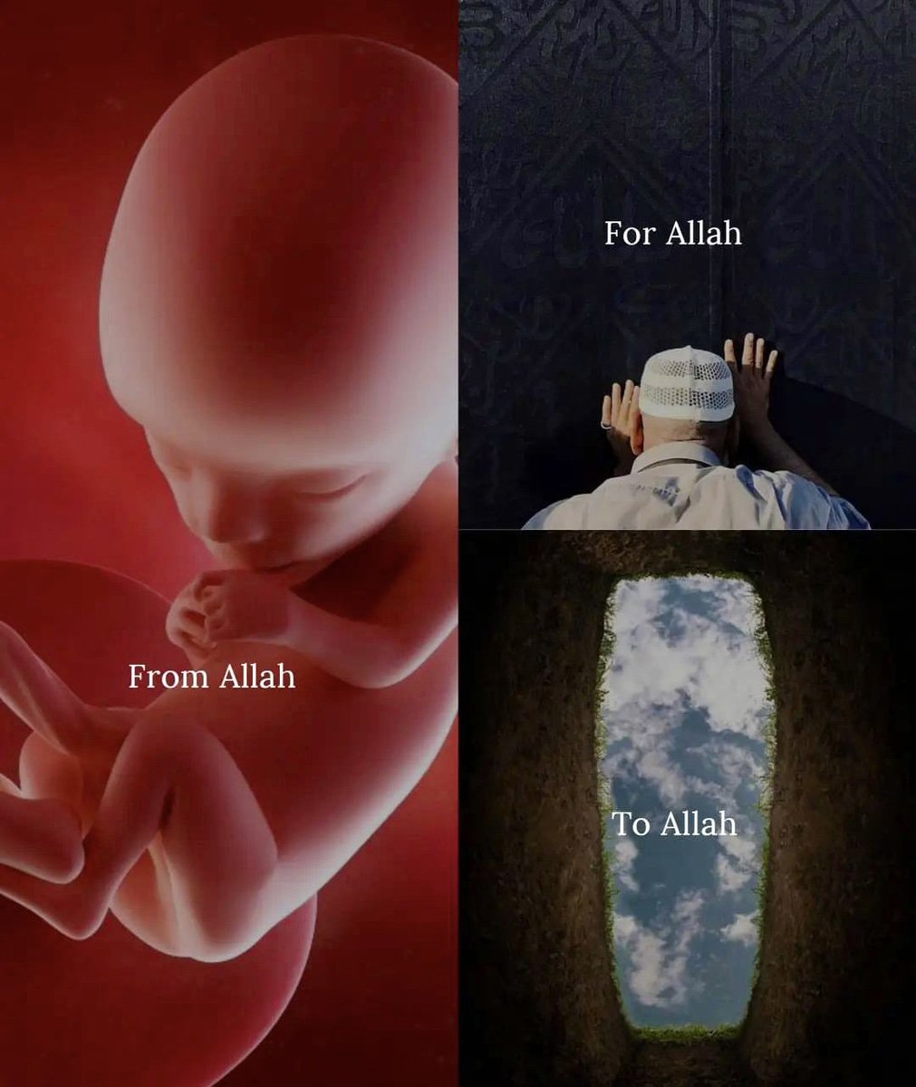FallouL1021's tweet image. From Allah-For Allah- To Allah ❤🙏🏽