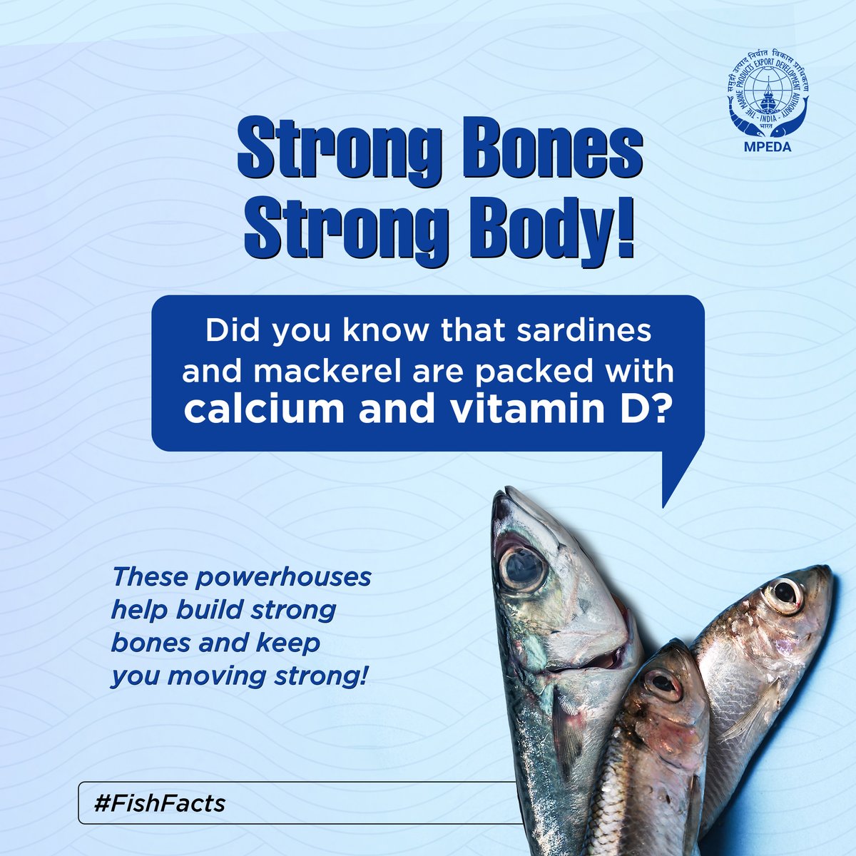 MPEDACOCHIN's tweet image. Bite it out for strong bones and joints! 🦴🐟 

Sardines &amp;amp; mackerel are calcium &amp;amp; vitamin D powerhouses! 💪
#FishFacts #SeafoodBenefits #aquaculture #seafood #indianseafood #ExportGrowth 
@DoC_GoI
@FisheriesGoI
@Min_FAHD
@MOFPI_GOI