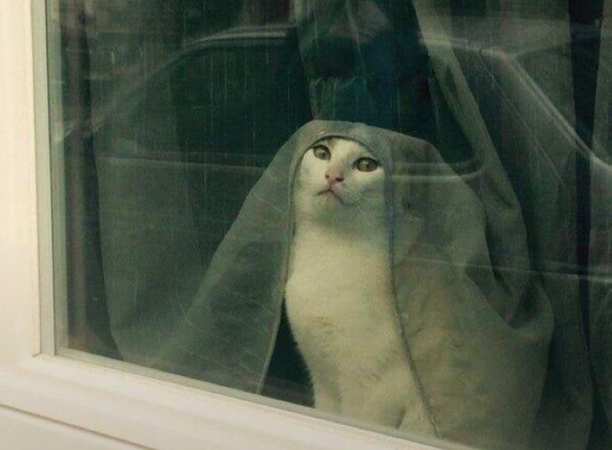 Tell Cersei I want her to know it was me