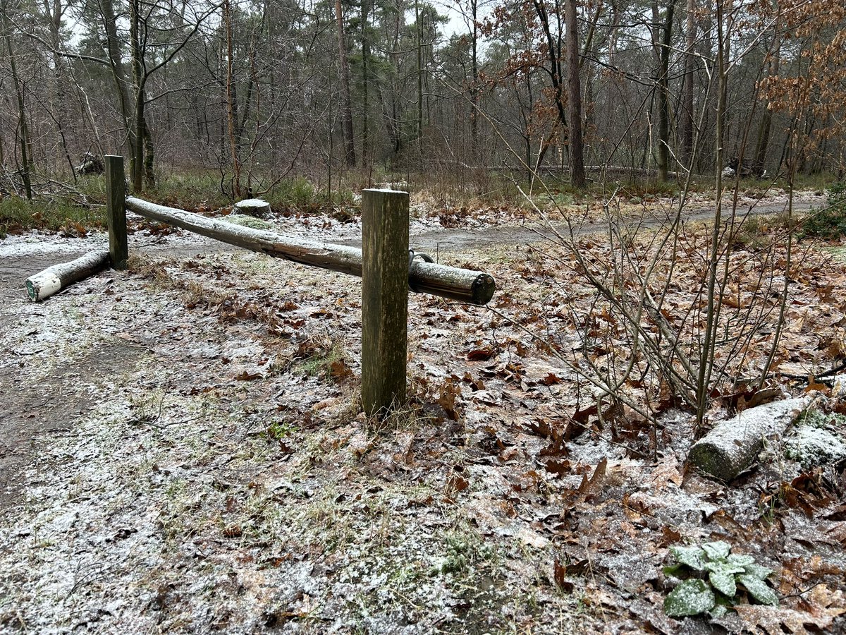 Verspreid over het land vallen er stevige buien, soms met natte #sneeuw. In de hoger gelegen delen van het land, zoals hier aan de rand van de Veluwe, wit het dan soms wat aan.