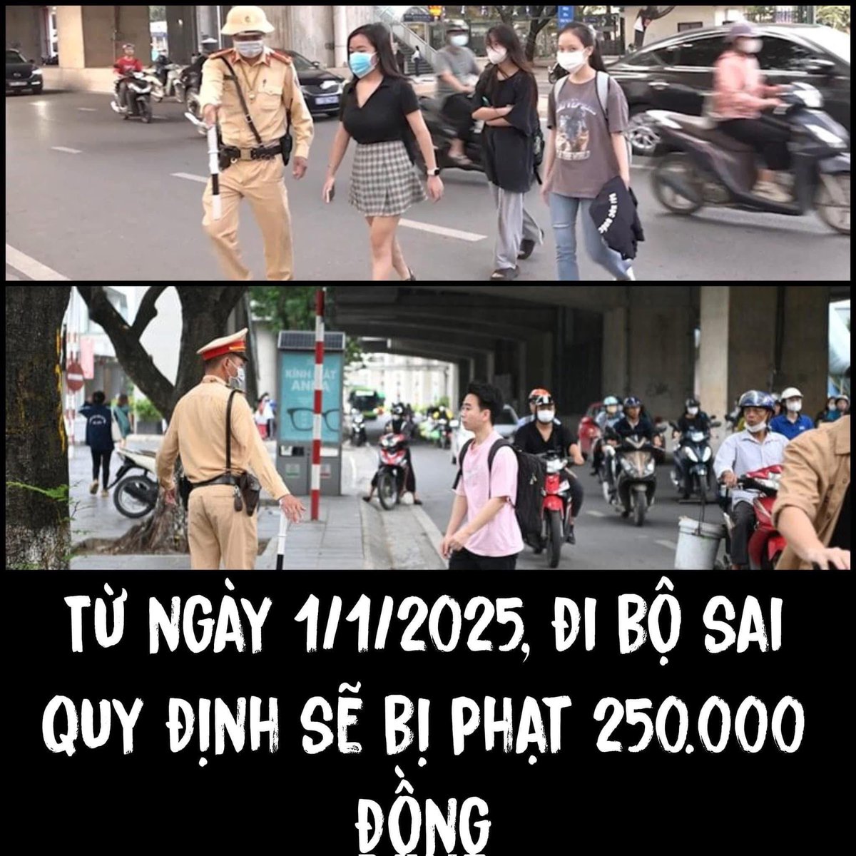 Thông tin chính xác k mn 😂😂