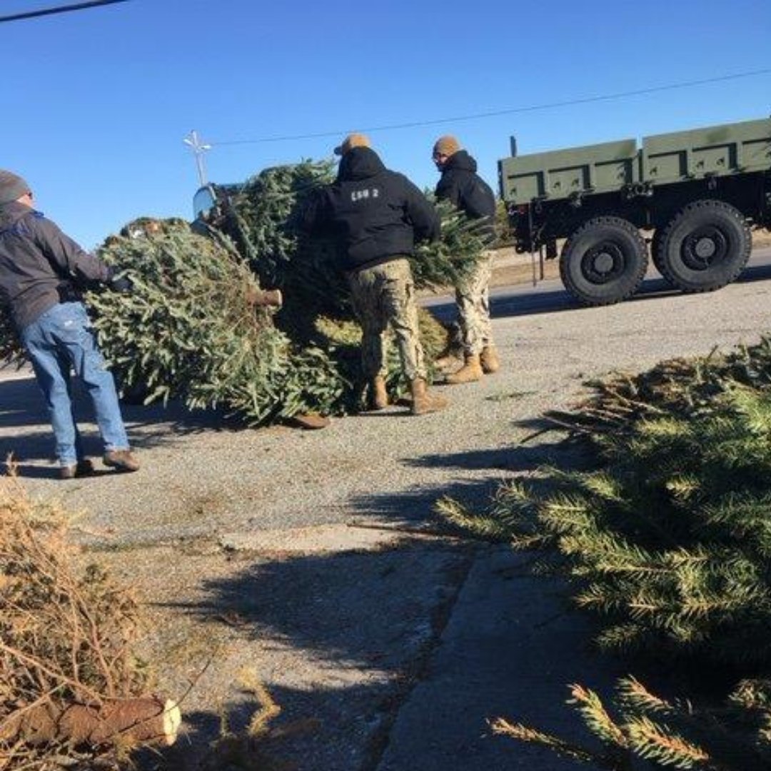 Trees4Troops's tweet photo. 🎄♻️ Even after Christmas, Trees for Troops trees keep giving back! Bases like JEB Little Creek-Fort Story recycle them into mulch, erosion control &amp; more. 🌎

Let’s keep the circle of life going! 🌟

#TreesForTroops #RecycleYourTree #EcoFriendly https://t.co/kzCsss25DL