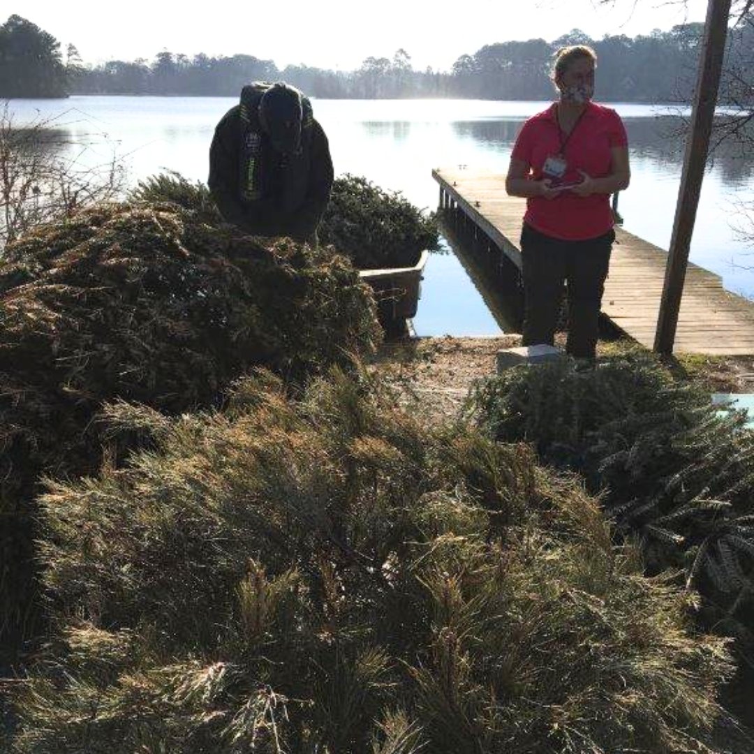 Trees4Troops's tweet photo. 🎄♻️ Even after Christmas, Trees for Troops trees keep giving back! Bases like JEB Little Creek-Fort Story recycle them into mulch, erosion control &amp; more. 🌎

Let’s keep the circle of life going! 🌟

#TreesForTroops #RecycleYourTree #EcoFriendly https://t.co/kzCsss25DL
