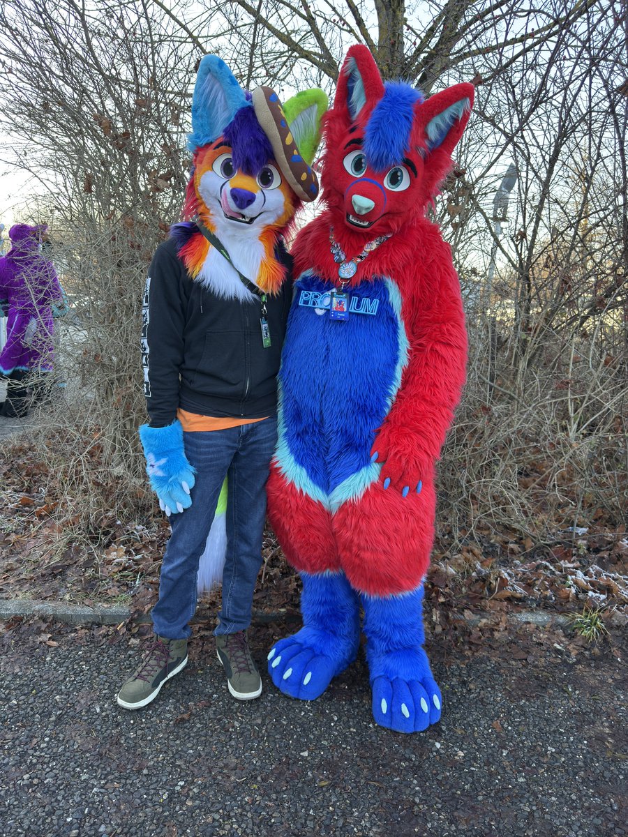 Happy first #FursuitFriday of 2025 together with <a href="/Jaro_Cat/">Jaro</a> 

🪡 <a href="/whitewingsuits/">Whitewing Creations</a>