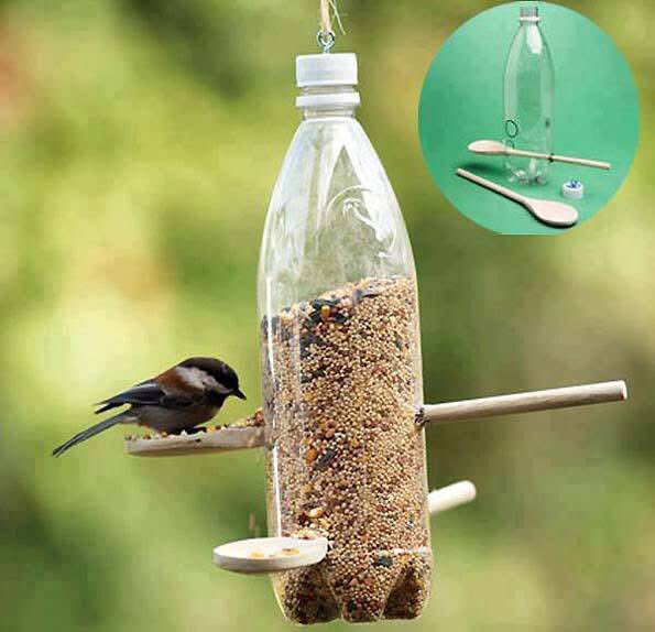 ¡AYÚDALAS! 😻💚🐦‍⬛
Con un sencillo COMEDERO para Aves granívoras 🙏

♻️ Regala Vida RECICLANDO una botella de plástico ♻️