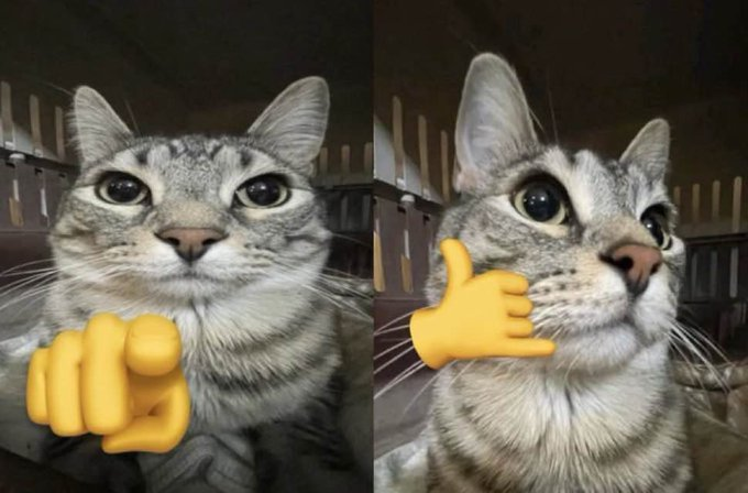 ㅋㅋㅋㅋㅋㅋㅋ