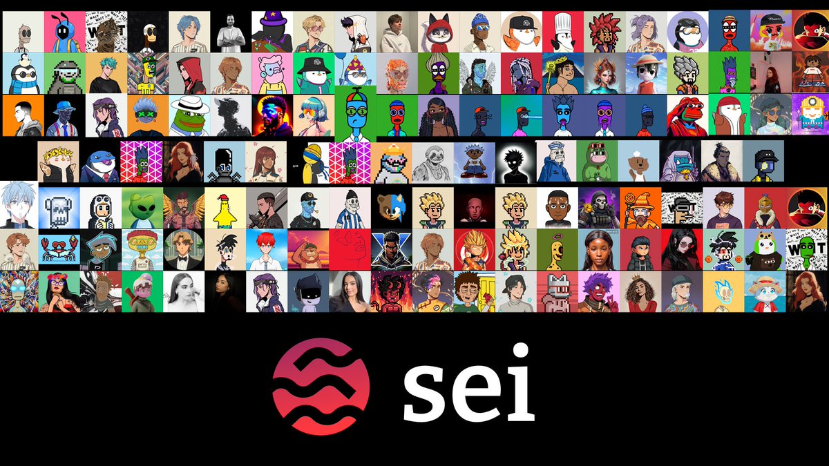 I love these people.

You see, these people is what makes Sei what it is today: an absolutely incredible community.

A few weeks ago, I asked you to drop your pfps and wow, you guys delivered.

Here’s to an epic year ahead, together!

PS: if you dont see yourself in, dw I'll
