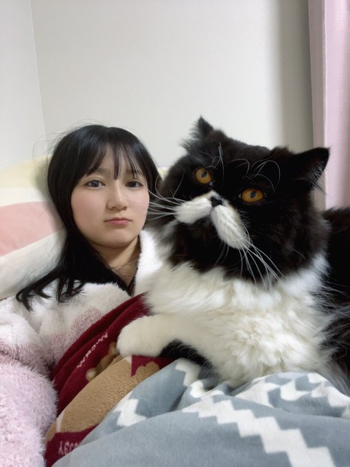 今村麻莉愛のTwitter画像1