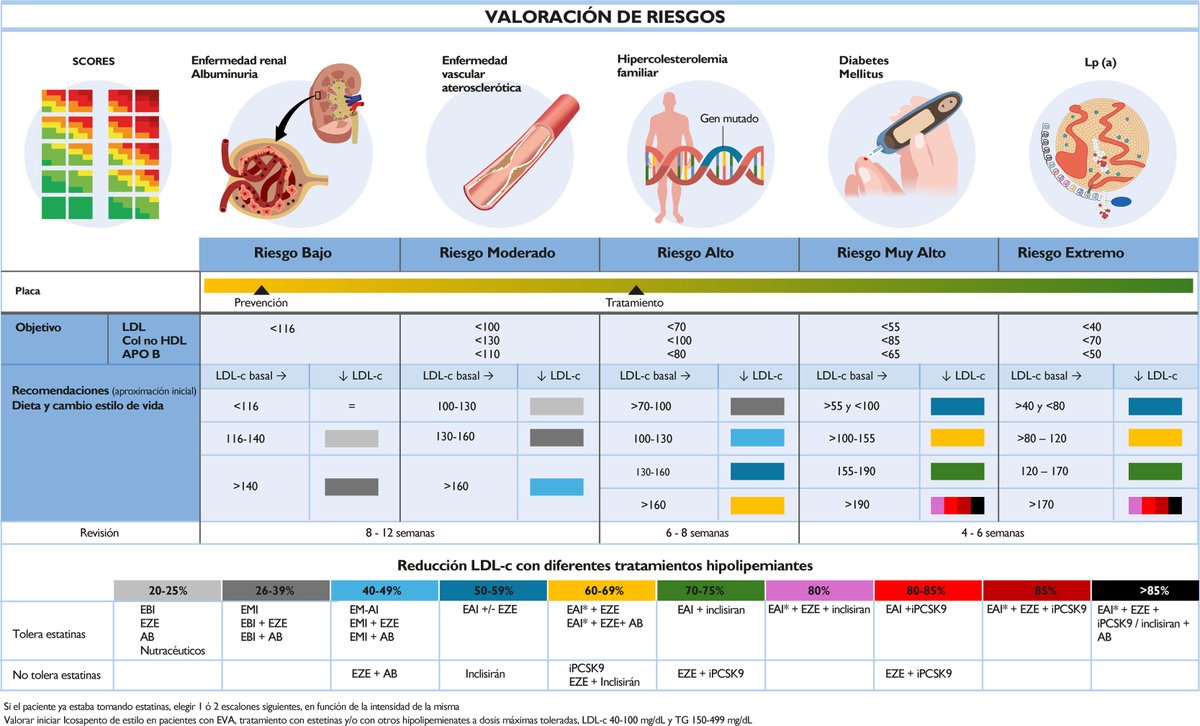 Uso de nuevas terapias hipolipemiantes en la práctica clínica. Consenso SEC/SEA/SEEN/SEMFYC/SEMERGEN/SEMG/SEN/SEACV/S.E.N. #reccardioclinics <a href="/docvivas/">David Vivas</a> <a href="/acorderofort/">Alberto Cordero</a> <a href="/MAROSFO/">Rosa Fernandez</a> <a href="/ArmandoOterino/">Armando Oterino Manzanas</a> <a href="/guso73/">Agustín Blanco</a> <a href="/DelFreijo4112/">Maria del Mar Freijo</a> <a href="/pmartinezlosas/">Pedro Martínez Losas</a> <a href="/Dr_Bqg/">Borja Quiroga</a> <a href="/rfreixap/">Román Freixa Pamias</a> <a href="/GBE62/">Gonzalo Barón</a> <a href="/secardiologia/">Soc Esp Cardiología</a> <a href="/sea_es/">Arterias Sanas</a>