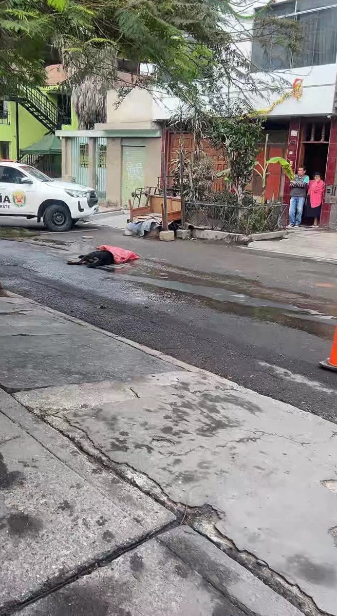 Aderly's tweet photo. #LOÚLTIMO Sujeto disparó tres veces a can de raza Rottweiler en SJL. Alega defensa propia "porque el perro se le venía encima". https://t.co/7FQ0I9baBz