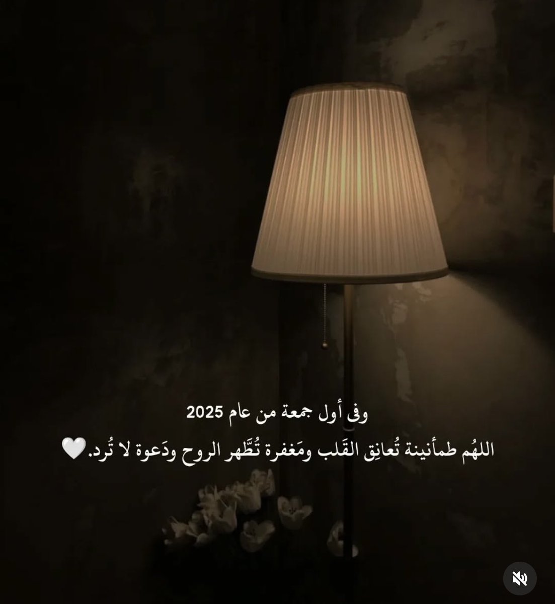mayalsaadon's tweet photo. https://t.co/jf4kXyBhRF