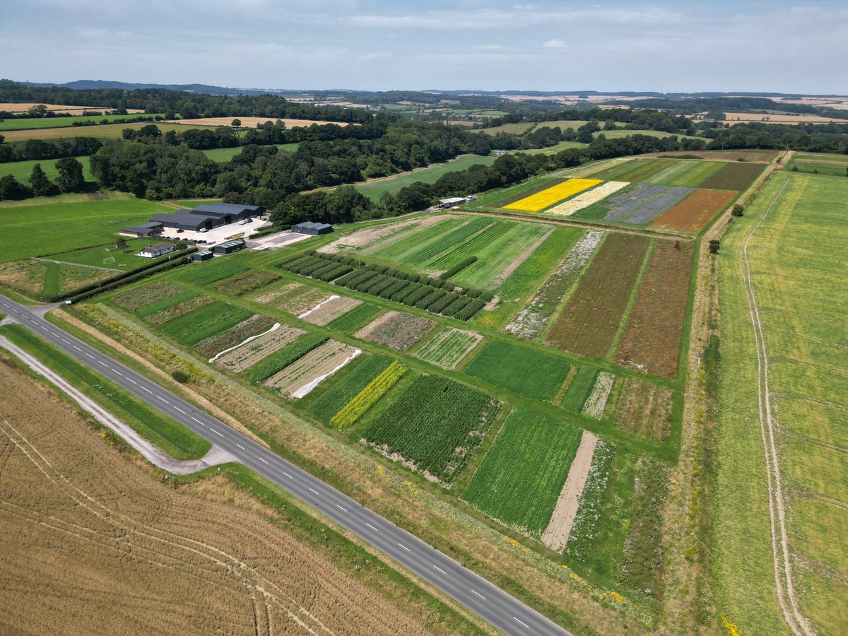 We will soon be putting a plan together for our 2025 maize trial site, and we would like our customers and followers to be a part of it! 

What would you like to see at our maize trial site? New varieties, innovative techniques, or something else? 

#MaizeTrial #Maize2025