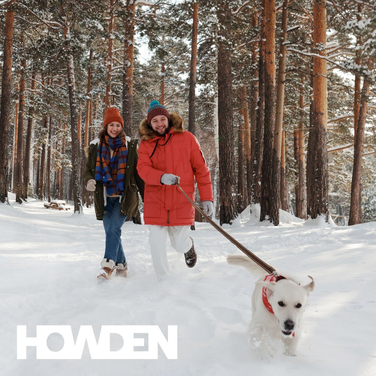 howdenlocaluk's tweet image. Feeling 'Christmassed out'? Whether it's fresh air or cheap activities at home, we’ve got you covered! What’s your go-to January activity? ow.ly/Gxma50UyInG #JanuaryActivities #WinterFun #PostChristmas