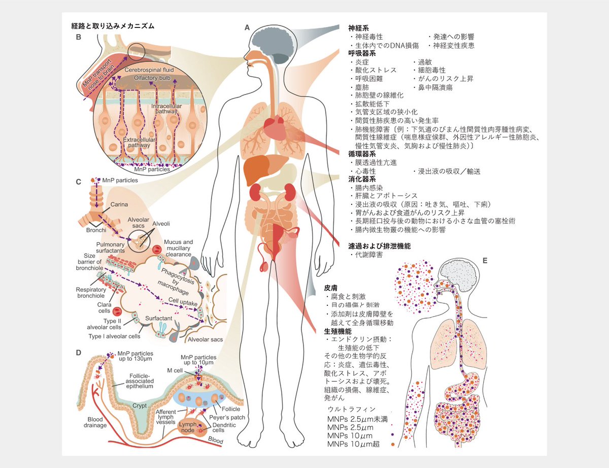 Aletheia98's tweet image. 110することになった時のために、ノートを付けています。
1/1からはもっと詳細にノートにどこが臭いかなどの地図も書いてます。
臭い時に臭いところを調べに嗅ぎに外に出るの、死ぬ💀死ぬ
気が狂うって⋯
香害宅の洗面所がゴーーーって音してて、辺りが地獄だった。

#香害は傷害
#化学物質過敏症