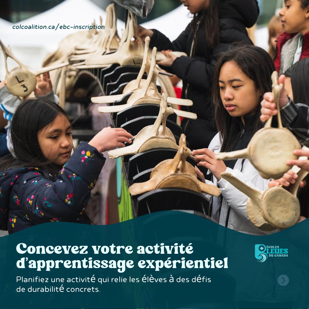 CANoceanlitCO's tweet photo. Les Écoles bleues du Canada soutiennent les éducateurs dans l’avancement de la connaissance de l’océan et de l’action climatique. Postulez pour la subvention d’apprentissage expérientiel et apportez un apprentissage pratique à vos élèves.
Date limite: 28 février 2025. https://t.co/3SBPgSQbB4