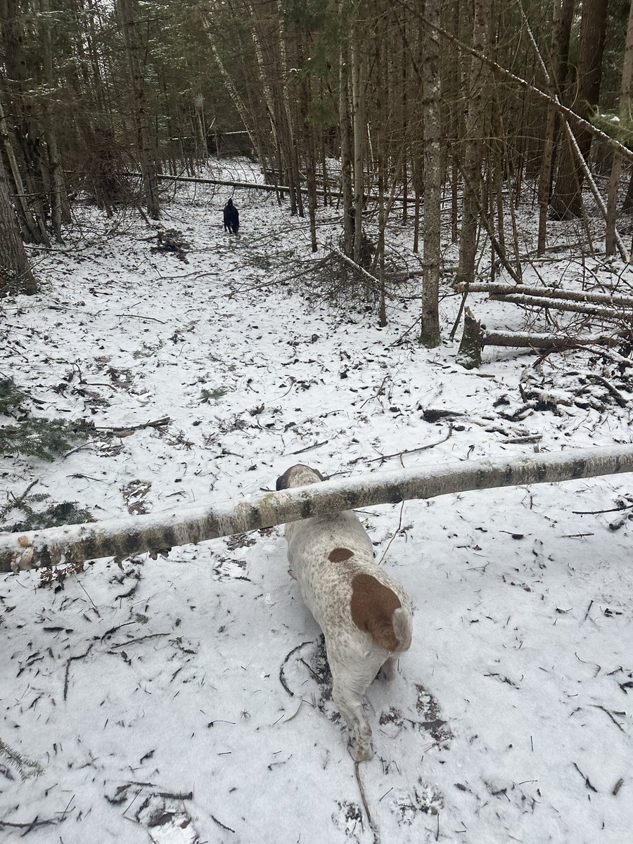 Monday Q Info tweet media