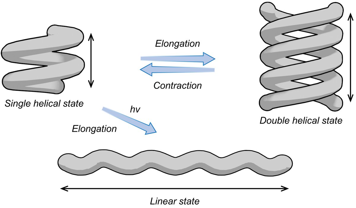 David Canevet (@d84ka) on Twitter photo If you are curious about photoresponsive foldamers and double helix formation, have a look at our last accepted paper in <a href="/ChemEurJ/">ChemEurJ: Chemistry - A European Journal</a>! We show that TPE can act as a photoacid and thus, trigger unfolding processes. Special congratulations to <a href="/HardoinLouis/">Louis</a>!
urlr.me/xF9u36 If you are curious about photoresponsive foldamers and double helix formation, have a look at our last accepted paper in <a href="/ChemEurJ/">ChemEurJ: Chemistry - A European Journal</a>! We show that TPE can act as a photoacid and thus, trigger unfolding processes. Special congratulations to <a href="/HardoinLouis/">Louis</a>!
urlr.me/xF9u36