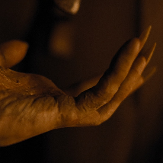 TheCinesthetic's tweet photo. Nosferatu (2024) dir. Robert Eggers https://t.co/93iKMOtijc