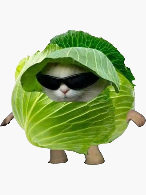 isoctess's tweet photo. "By the end of January, we’ll probably see some wild stats claiming South Africans have spent trillions rands  on cabbage...🥬😂" https://t.co/za3HdmYO6F