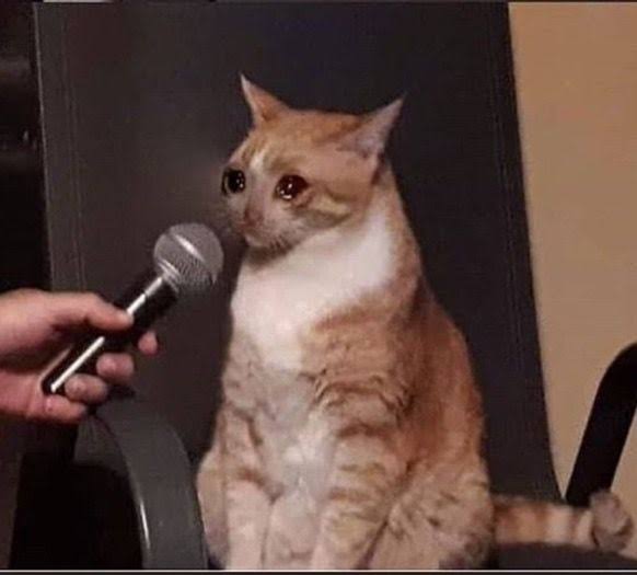 Views 10k, like ni 2.