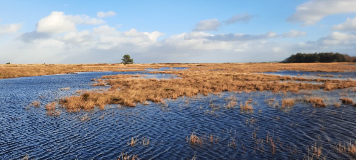 #Golven op de #heidevennen, #ommetje #JanRoepesheide vanuit <a href="/parckoudenburg/">Koudenburg</a> #Ameland #wandelen #wind #buien #mooieluchten #winter