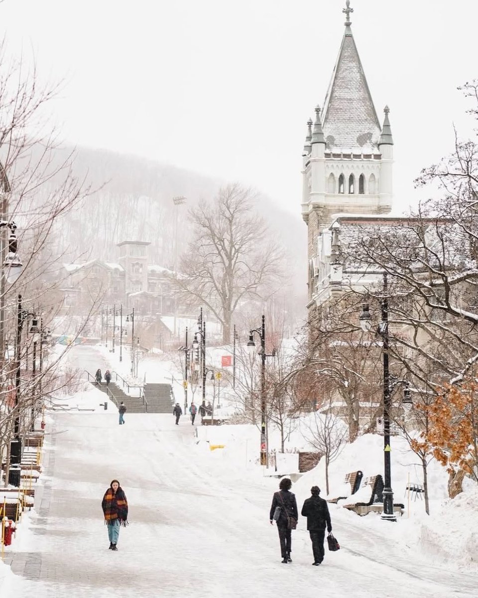 Wintery day on the @McGillU campus. ❄️

📷 <a href="/Eric_Branover/">Eric Branover</a> #montreal