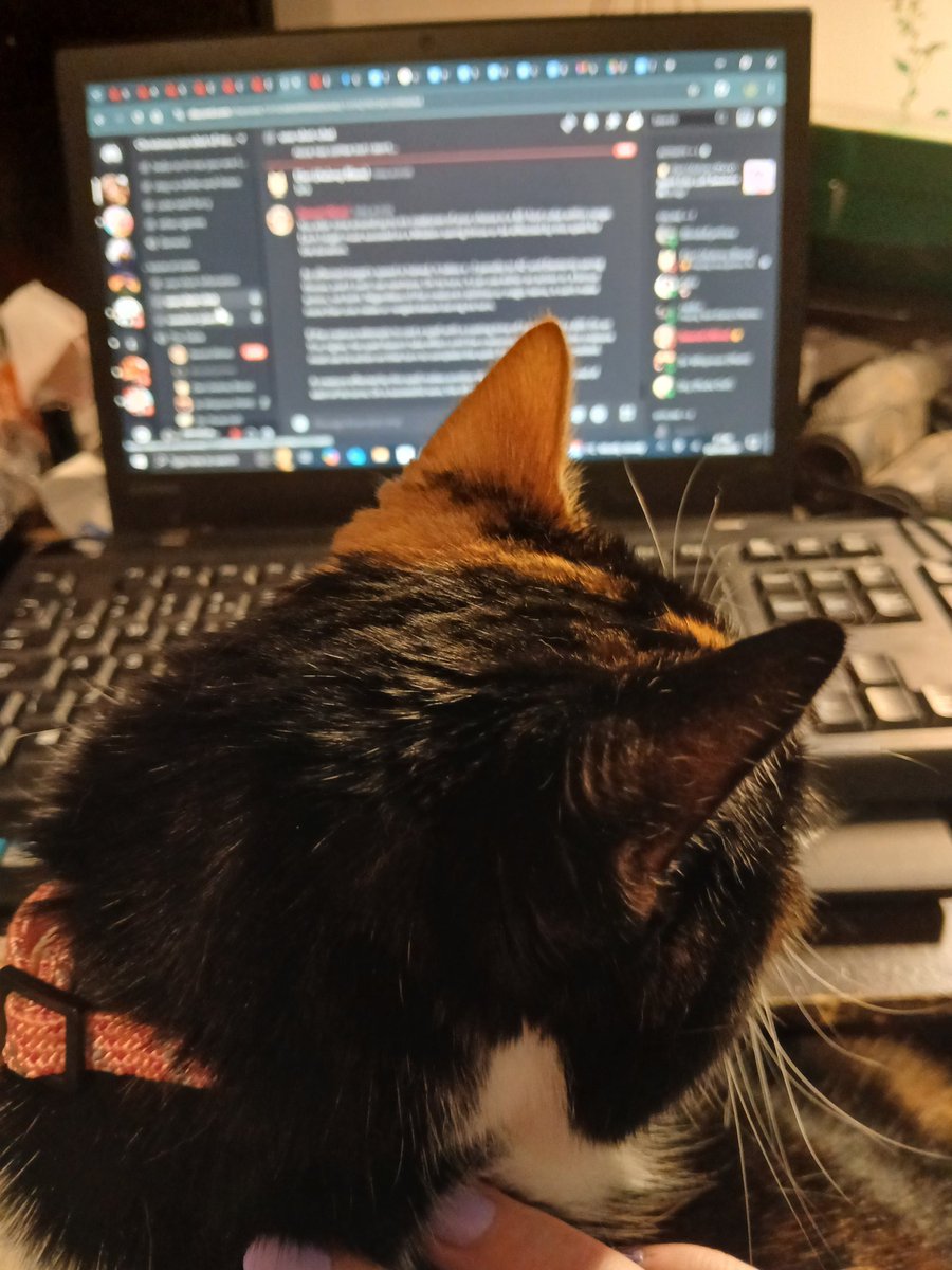 Charly (@blindseyeview) on Twitter photo Me every time I try to use the desk 
Kitty  trying to help me write Me every time I try to use the desk 
Kitty  trying to help me write